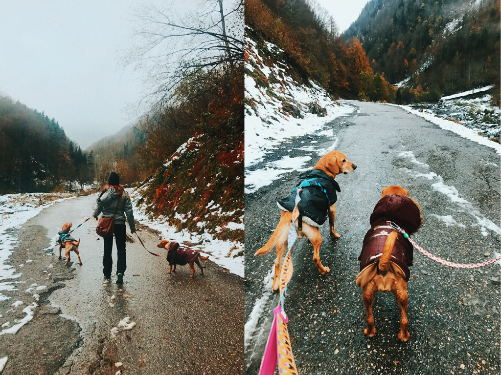 Viaje, pirineos, perros, vegano, montaña, naturaleza, escapada de fin de semana
