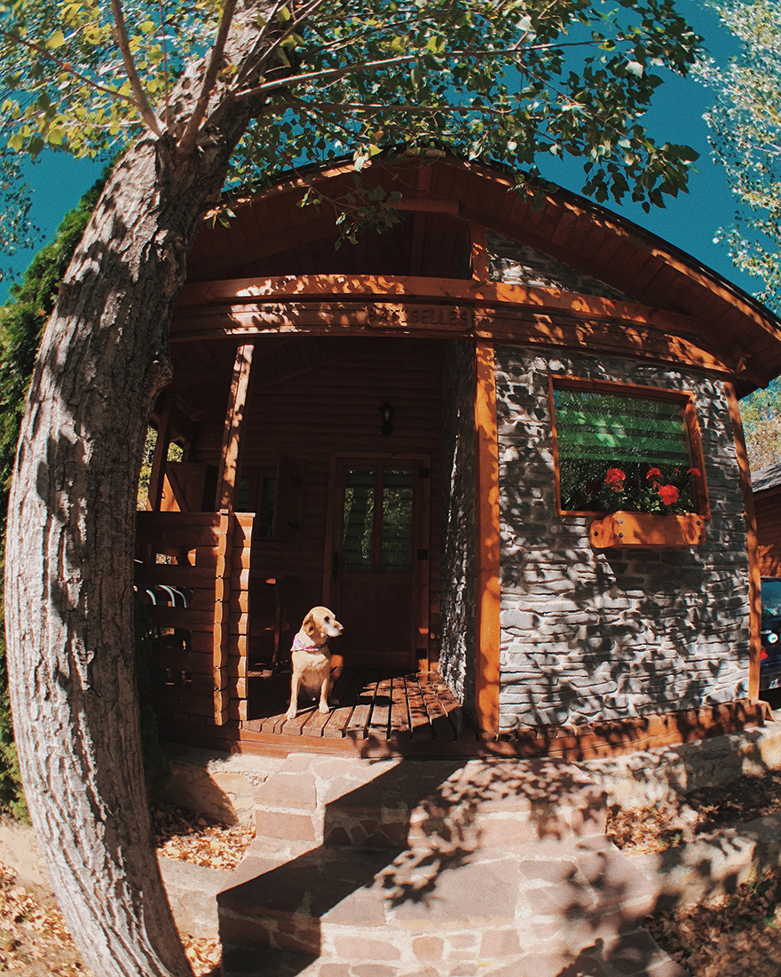 Bungallows con perros en el Camping Aneto de Benasque, en Pirineos.