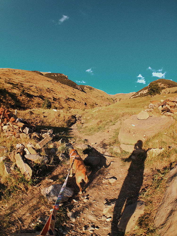 'Ruta de las 3 cascadas'. Viajes con perros en el Pirineo.