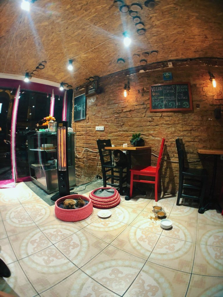Interior Community Kitchen, restaurante vegano en Estambul. Guía de viajes.